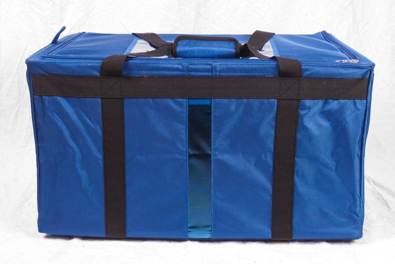 Collapsible Ballot Box
